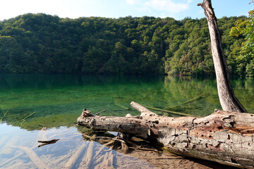 Fototapeta na wymiar Plitvice lakes national park in croatia.