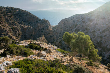 Fototapeta na wymiar Avlaki Gorge, north of Gouverneto Monastery, Chania, Crete