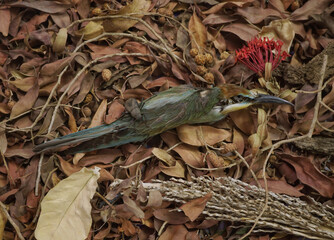 Naklejka premium Life and Death