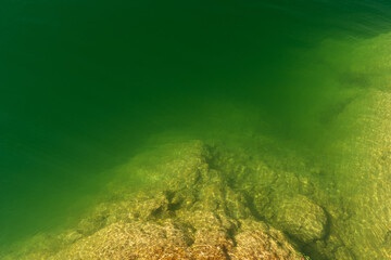 grünes Wasser am Wolfgangsee