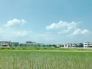 Fototapeta na wymiar the view of the rice field and the city of countryside in Japan