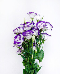 Naklejka na ściany i meble eustoma natural bright flower in a bouquet
