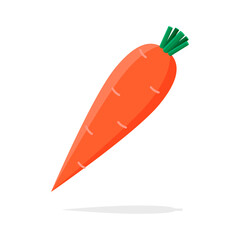 Carrot orange vector illustration