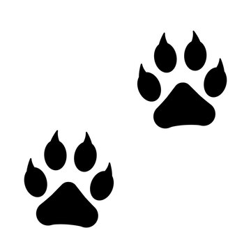 Paw foot print trail vector illustration. Silhouette of animal diagonal paths. Dog or cat paw flat vector icon.