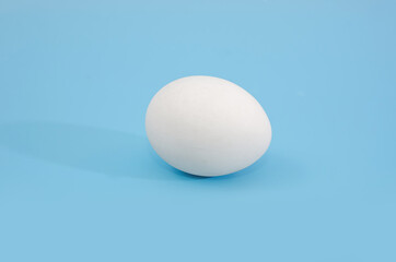 one white egg on a blue background.