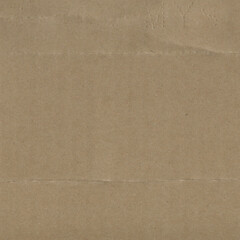 Close up of a light brown vintage rough sheet of carton. Cardboard paper texture with a blank background. Empty papercraft surface. Recycled environmentally friendly material.