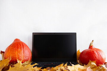 fallen autumn leaves and pumpkin harvest on a light background with an empty space and a black laptop with a free screen