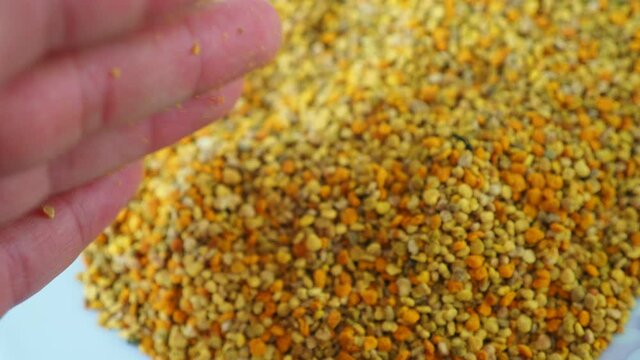 a plateful of bee pollen, close-up bee flower pollen grains,