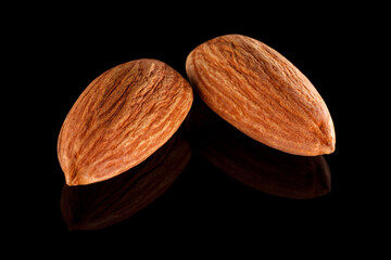 黒い背景で撮影したアーモンド