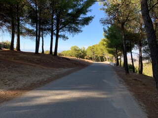 Dirt road on Mount Jabalcuz, Torredelcampo