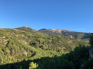 Forest of trees and mount jabalcuz in the background in Torredelcampo, Jaén