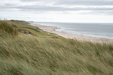 Denmarks beach with dunes and ocean in autumn