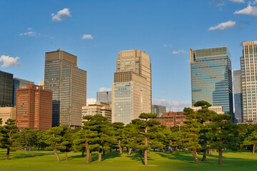 Obraz premium 公園から見えるビル群
