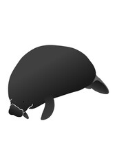Manatee