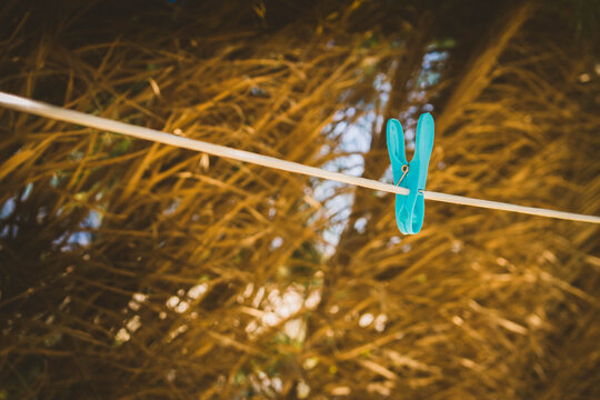 Pinza en una cuerda para tender la ropa