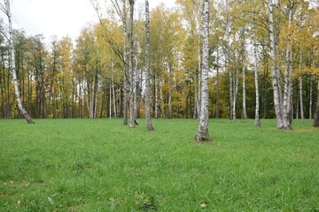 autumn in the park