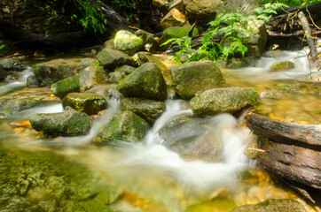 Small waterfall and stone with water motion.