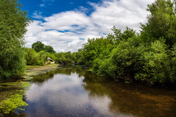 Beautiful morning on the river in the summer.