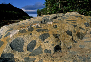Mafic Xenoliths in light colored granitic matrix, near Carcross, Yukon Territory, Canada