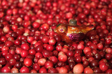 Red vintage Christmas bird decoration on the red cranberry surface. Healthy winter food concept....