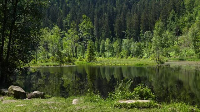 Ellbachsee im Schwarzwald, Deutschland - Hauptansicht vom begehbaren Ufer auf der Nordseite