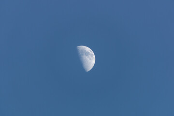 Afternoon Moon