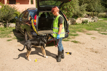police k9 drug dog looking for drug packet in rear hood of car accompanied by policeman