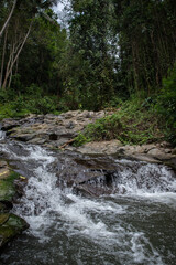 Obraz premium river in the forest