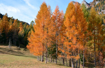 Autumn in the Dolomites