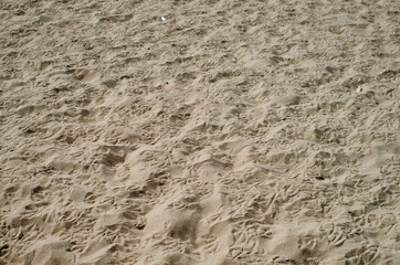 Sand with many footprint of birds in summer