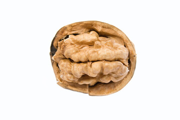 walnut