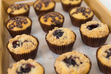 Close-up image of batch of homemade, chocolate cupcakes in paper cake cases on circular, black, metal wire cooling rack, chocolate butter chocolate pieces and blueberry