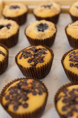Close-up image of batch of homemade, chocolate cupcakes in paper cake cases on circular, black, metal wire cooling rack, chocolate butter chocolate pieces and blueberry