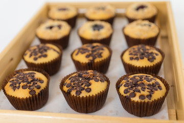 Close-up image of batch of homemade, chocolate cupcakes in paper cake cases on circular, black, metal wire cooling rack, chocolate butter chocolate pieces and blueberry