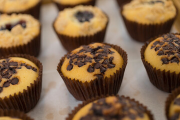 Close-up image of batch of homemade, chocolate cupcakes in paper cake cases on circular, black, metal wire cooling rack, chocolate butter chocolate pieces and blueberry
