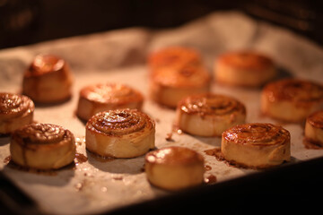 rosy cinnamon rolls on a baking sheet in the oven, sweet rolls in the oven