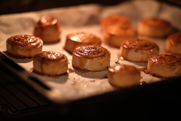 hot cinnamon rolls in the oven