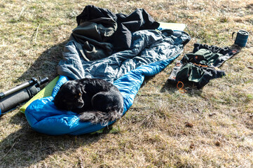 The dog lies on a sleeping bag. The dog is basking in the sun. Dog on a hike.