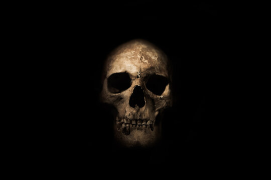 Human skull on a black background. 