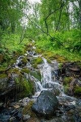 Small rocky stream in forest