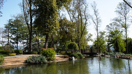 Emirgan Park largest park of Istanbul. The view of fall in Emirgan Park, İstanbul. 