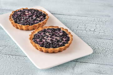 Two tartlets with fresh blueberries