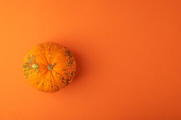 small pumpkin on orange background top view, copy space, text place