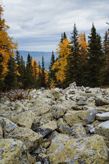 large Kurum stones lie in the autumn forest in the mountains, stones covered with moss on the background of the autumn forest, autumn mountain landscape, high in the mountains.