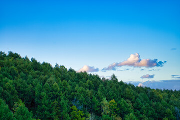 山間部からの風景