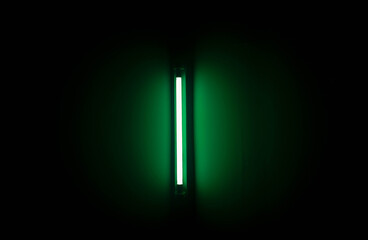 The green fluorescent  light