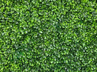 Artificial green leaf background