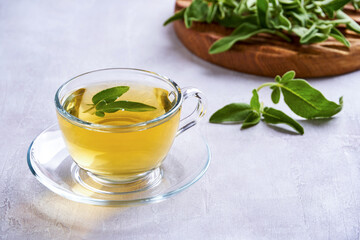 Fresh natural sage herbal tea in glass cup