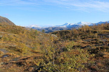 The beautiful and colourful landscape around Rago National park in the heart of Northern Norway