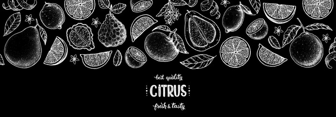 Citrus hand drawn vector illustration. Lemon sketch for design. Black and white style. Citrus lemon, pomelo, orange, bergamot pattern illustration. Citrus packaging design.